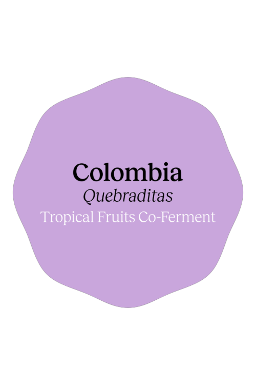 Colombia Quebraditas Tropical Fruits Co-Ferment