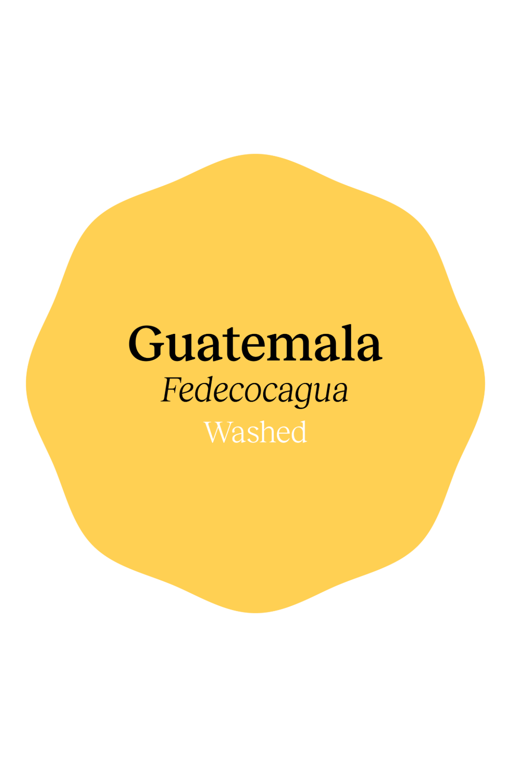 Guatemala Fedecocagua Washed