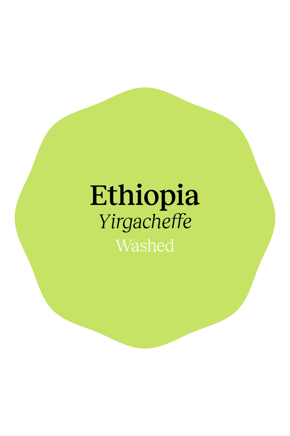 Ethiopia Yirgacheffe Washed