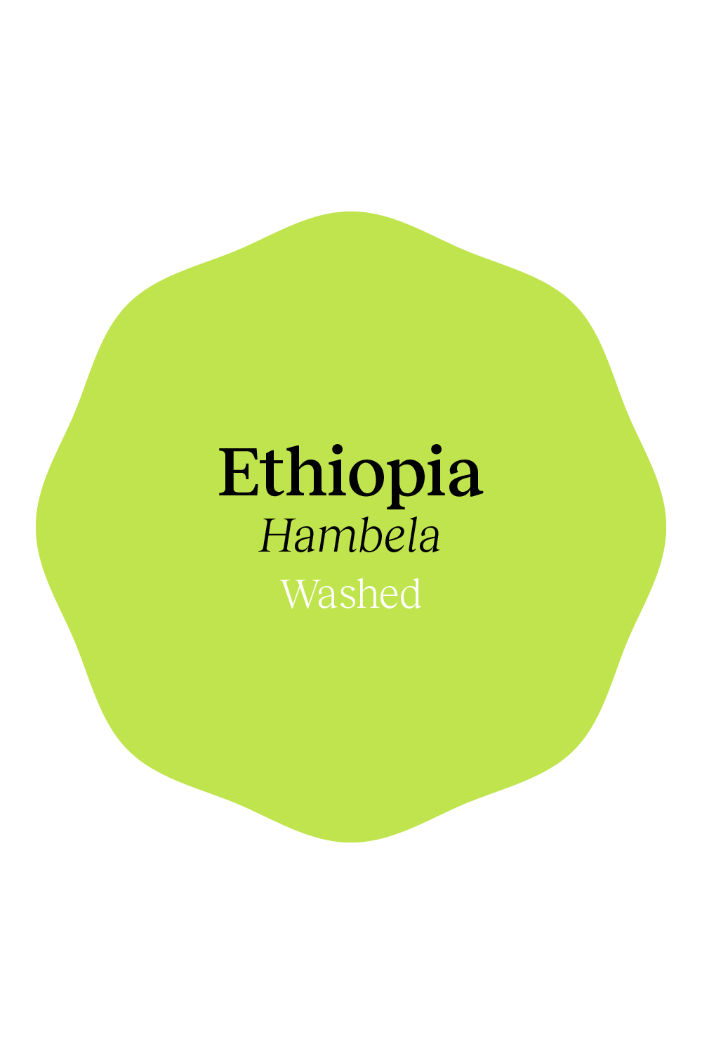 Ethiopia Hambela Washed