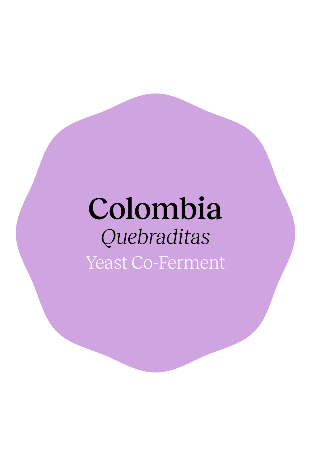 Colombia Quebraditas Yeast Co-Ferment