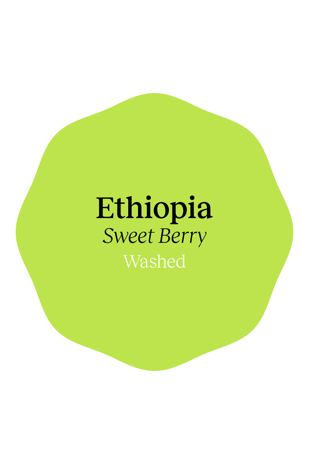 Photo of Ethiopia Yirgacheffe Sweet Berry