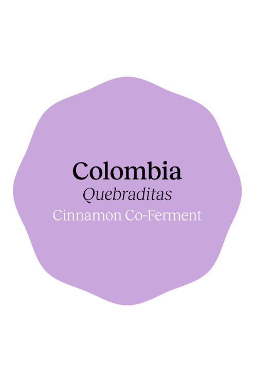 Colombia Quebraditas Cinnamon Co-Ferment